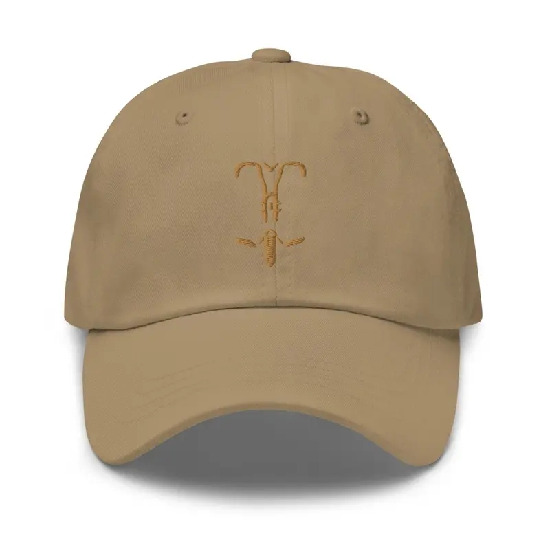 THE GOLD TRAVELER CAP 6-10